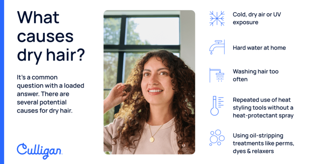 Reasons why hair is so dry